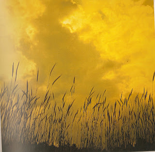 El desierto en mi vida: Medios Naturales y Paisaje Agrícola del Campo