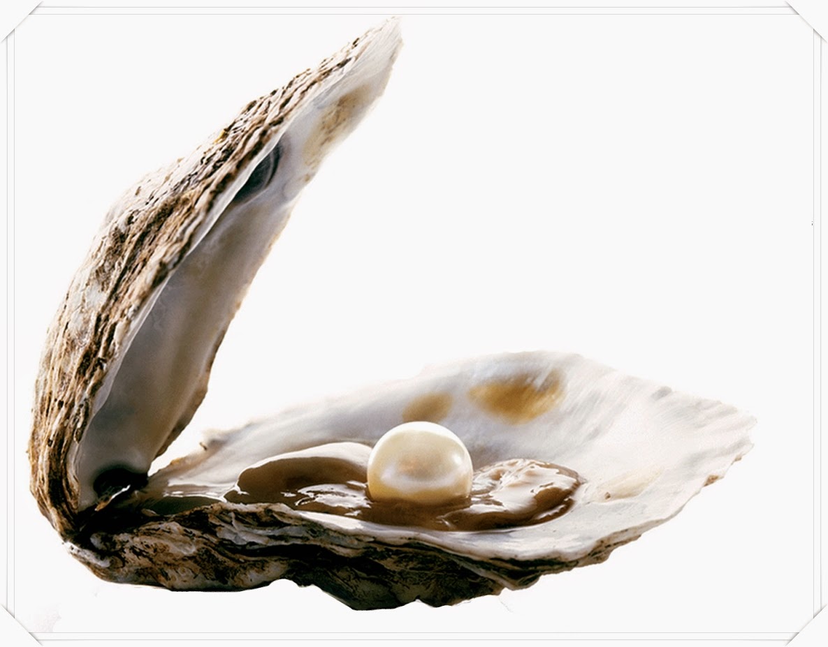 Perolando Pérolas e suas curiosidades