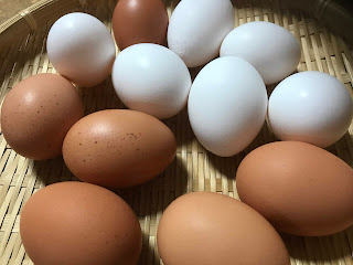 沖縄たべもの語り 白い卵と赤い卵 White Eggs And Red Eggs