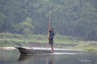 Safari_Fotografia_CHITWAN