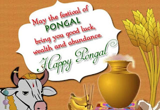 pongal wishes in english