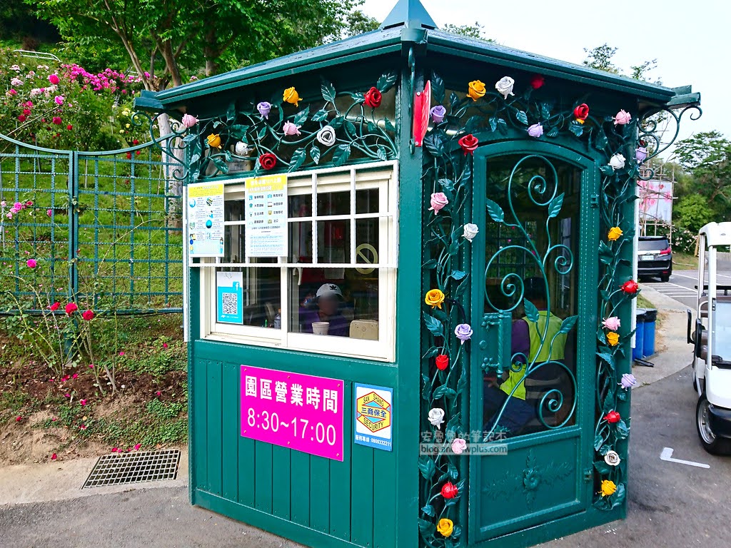 苗栗景點,雅聞七里香玫瑰森林,苗栗親子旅遊