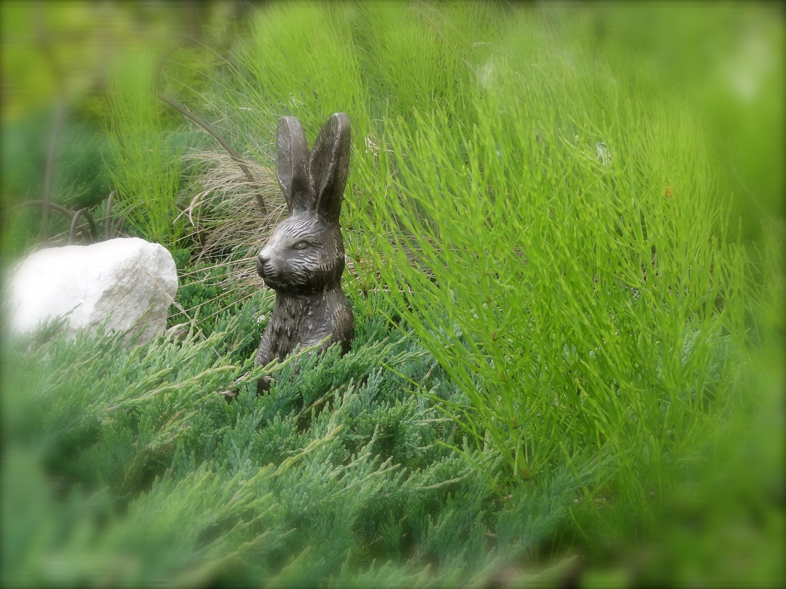 Jane's Jewels: The Magical Mystery Garden Tour