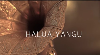 VIDEO | Brother Nassir _  Hayaty Haluwa Yangu mp4 | download