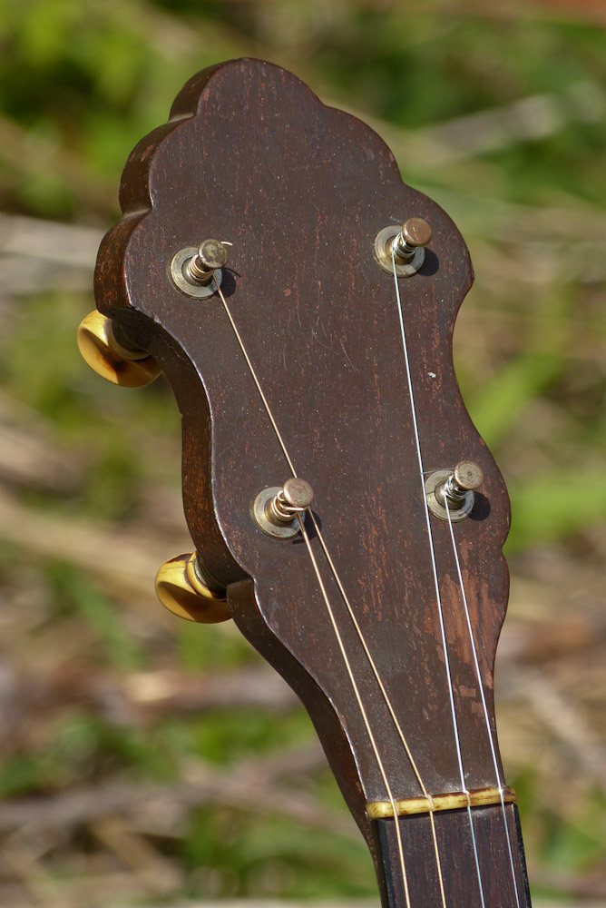 1930s Regalmade "BalsaResonator" Tenor Guitar