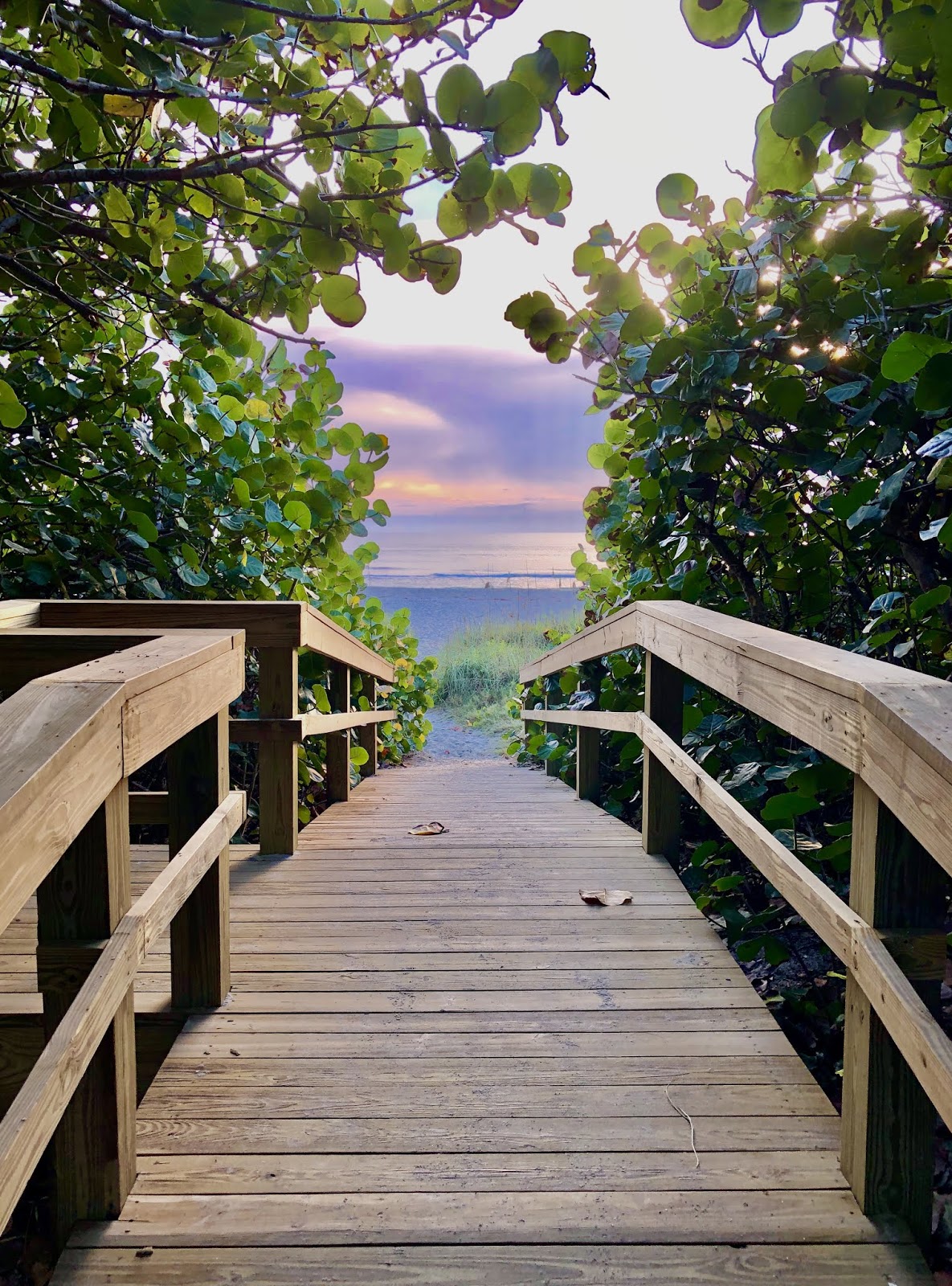 Larry's Take on the Cocoa Beach Real Estate Market Direct Ocean and Other Fuzzy Definitions