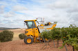 Grape harvester: Gregoire G8