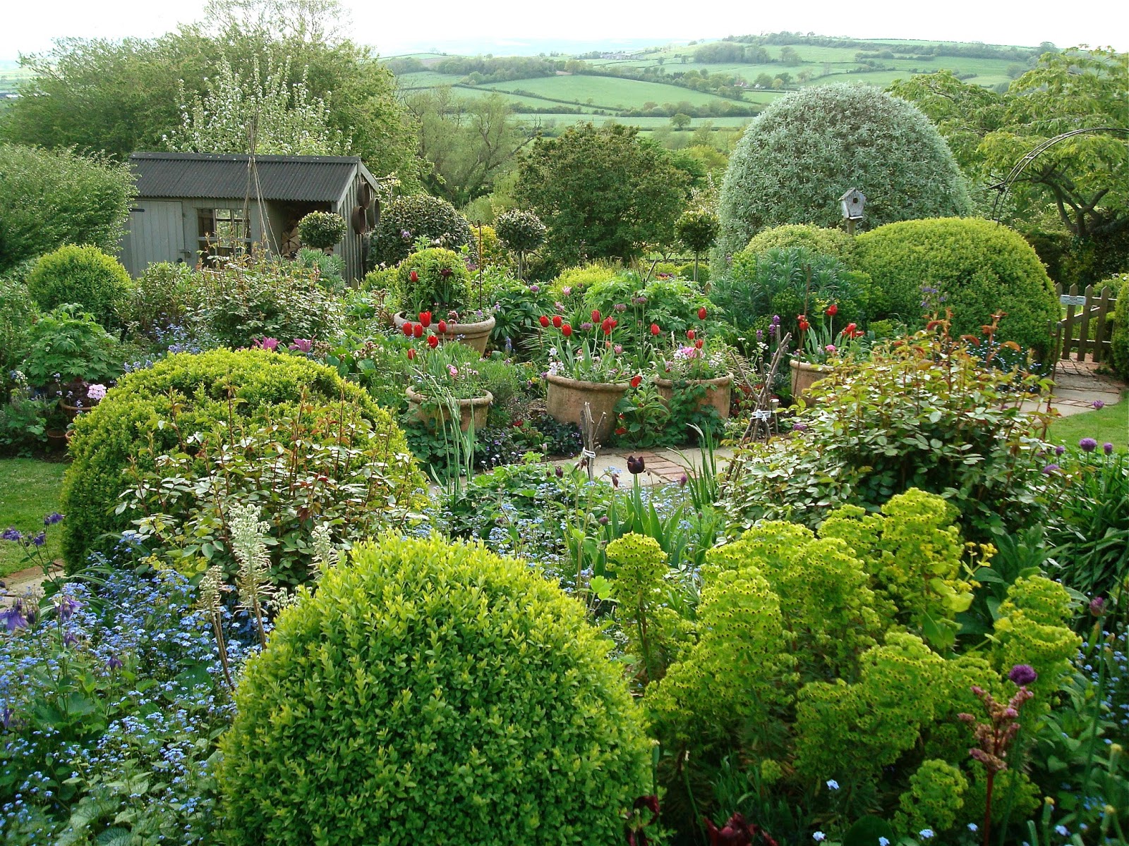 A Mermaid's Tale Annie's Garden