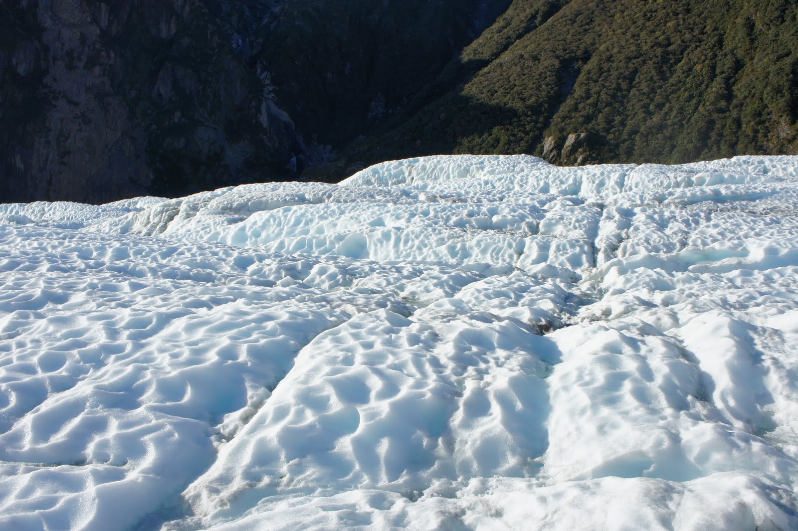 Experience of a Lifetime in Australia Queenstown to Fox Glacier (Part 7)