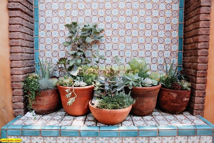 Gambar Taman Dalam Rumah Minimalis Konsep Tropis Sejuk - Pastipas.COM