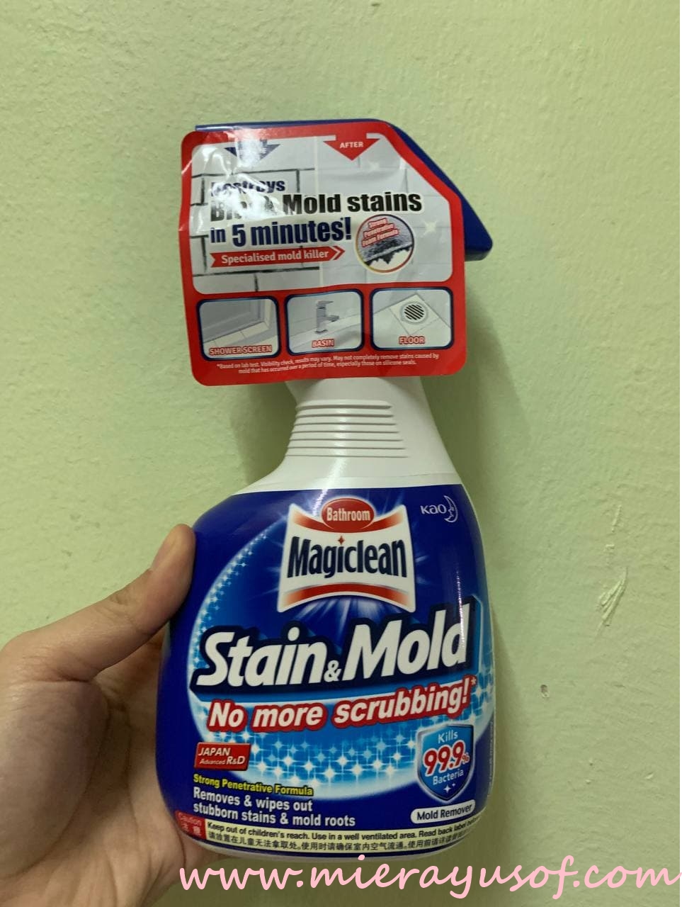 Mold and magiclean stain Kao Magiclean