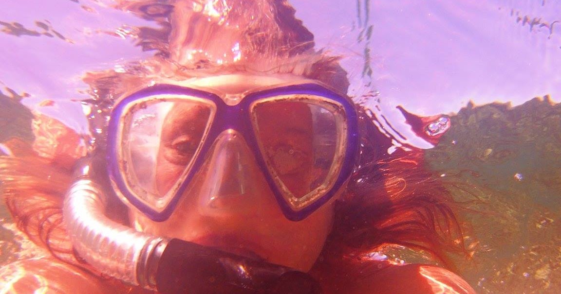 All Hawaii News Snorkeling dangers, Hawaii attorney general seeks to