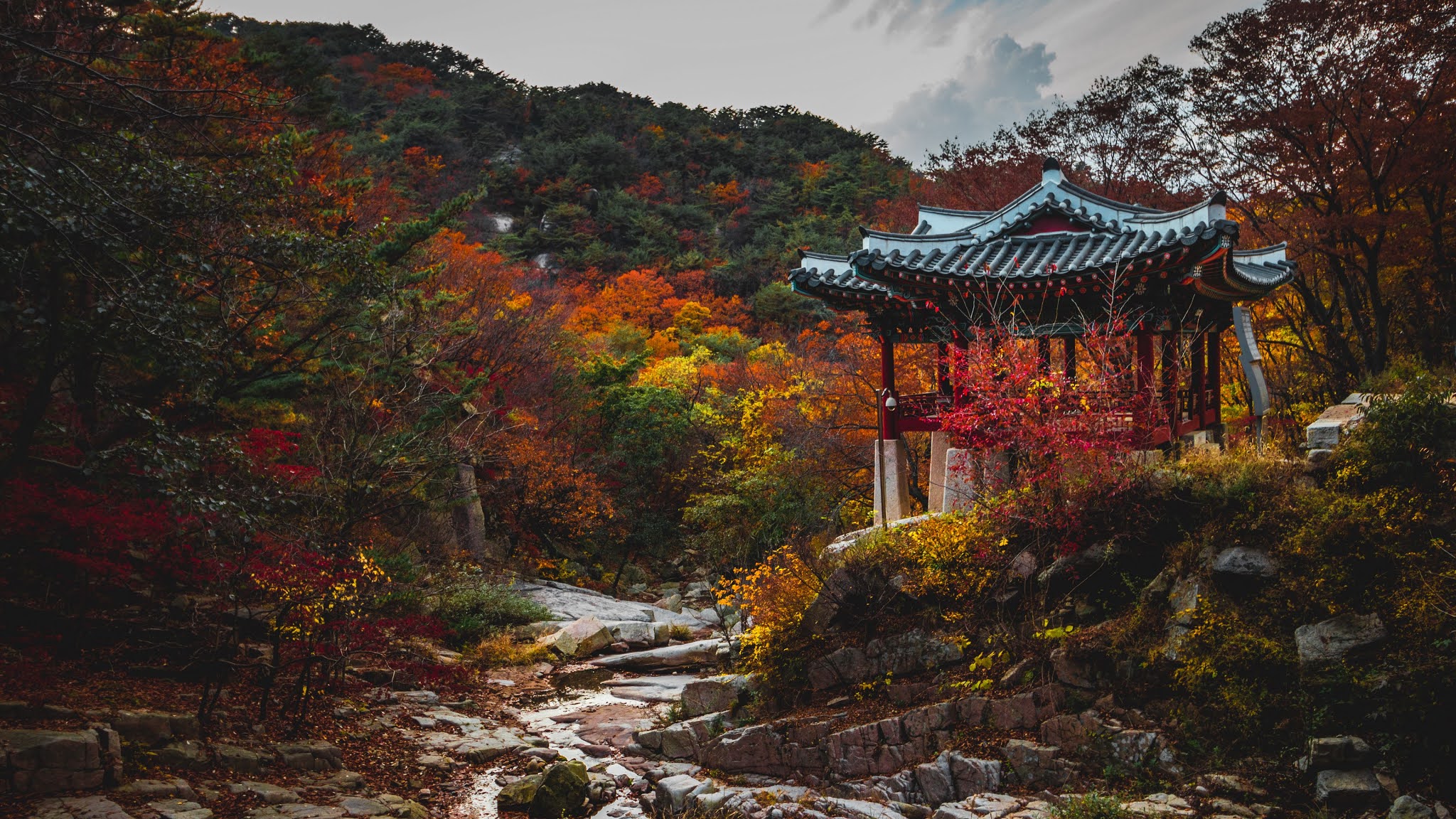 Autumn, Pagoda, Garden, Trees