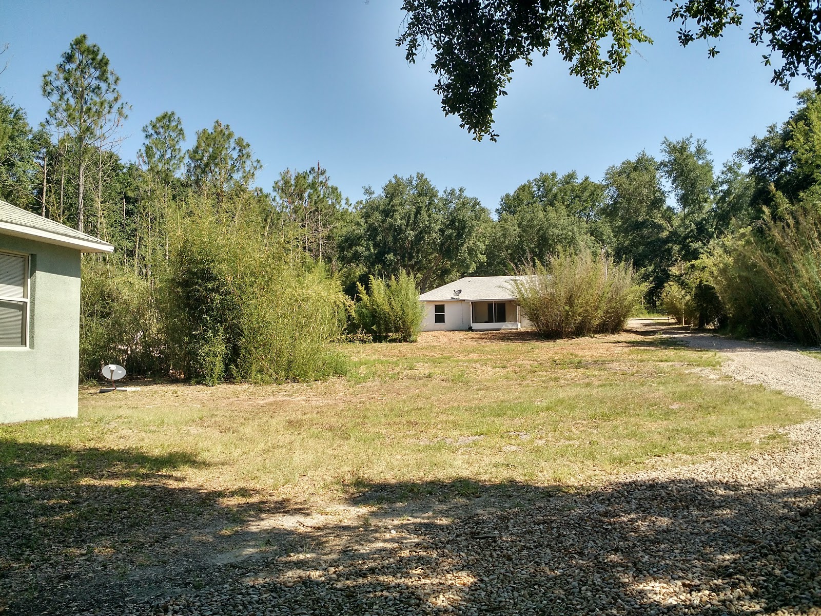 Lake County Florida Homes For Sale