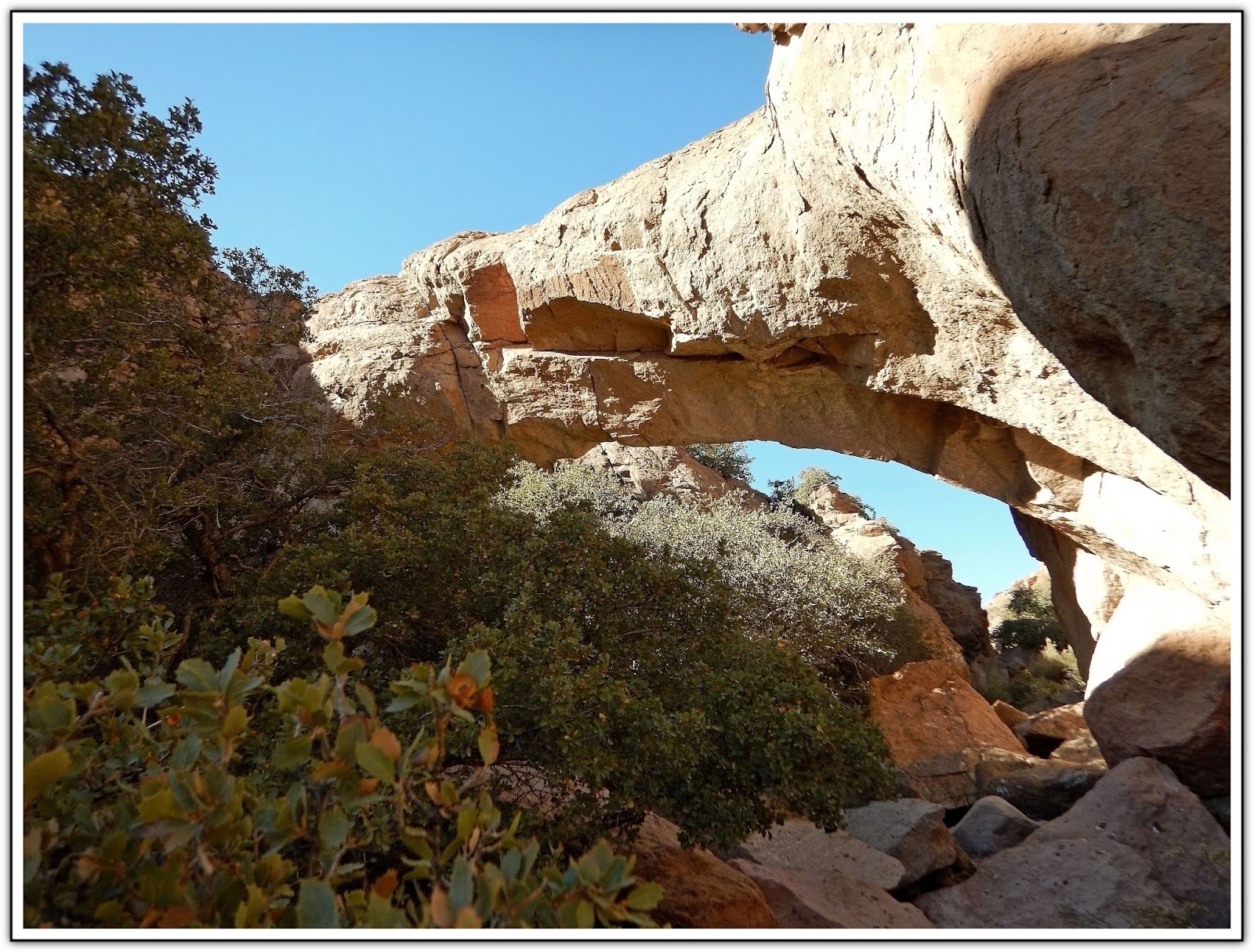 Ken's Photo Gallery Natural Bridge & Spring