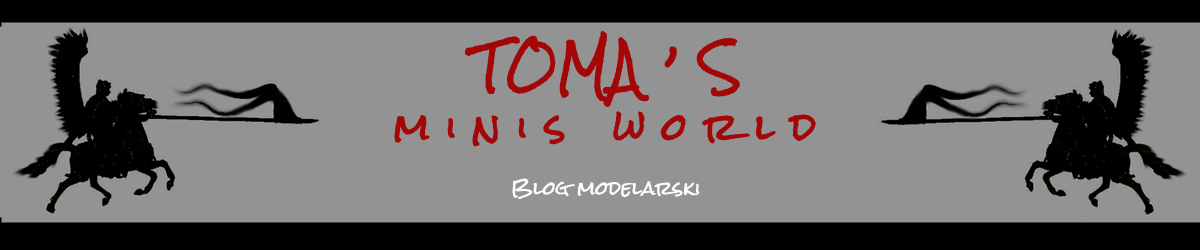 TOMA'S minis world