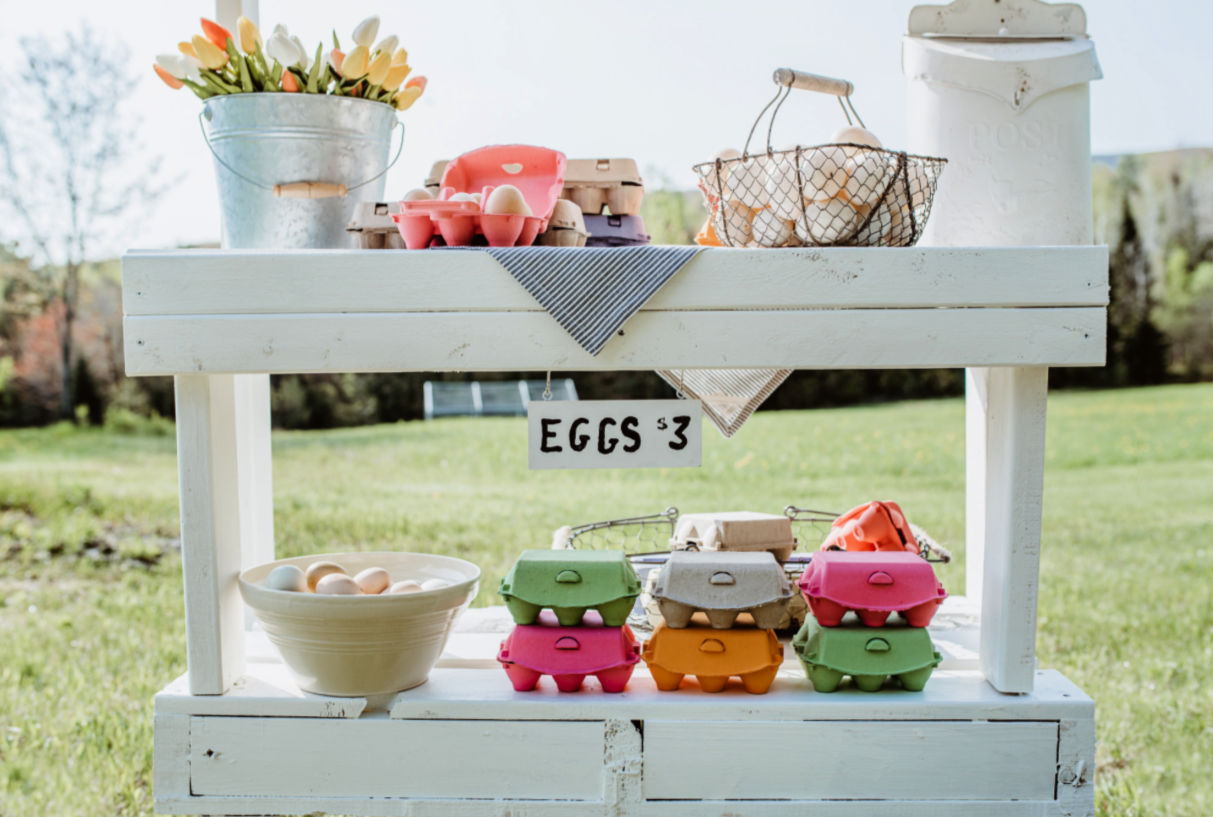 Wondering How to Wash Fresh Eggs? It's Safer Not To! - Backyard Poultry