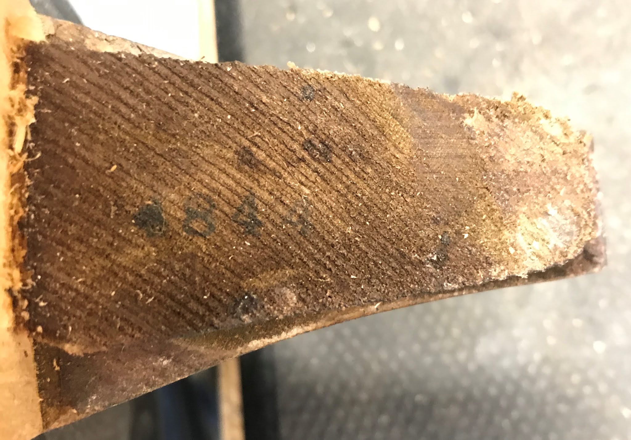 Identifying and Dating Harmony Guitars S. Nathaniel Adams