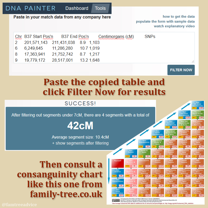 After GEDmatch, you can use DNA Painter and a consanguinity chart for more analysis.