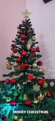 "MERRY CHRISTMAS,christmas tree to spread cheer."