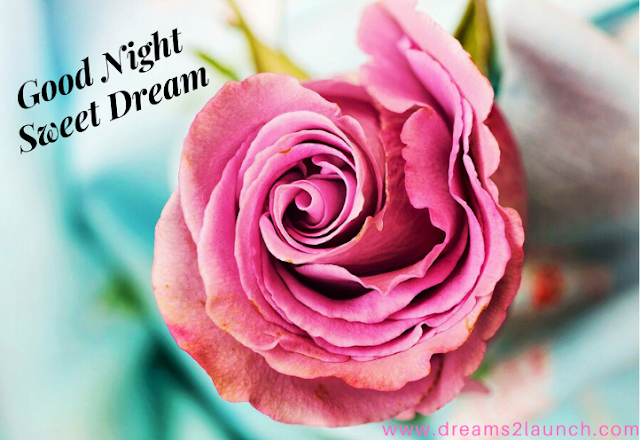 good night rose image