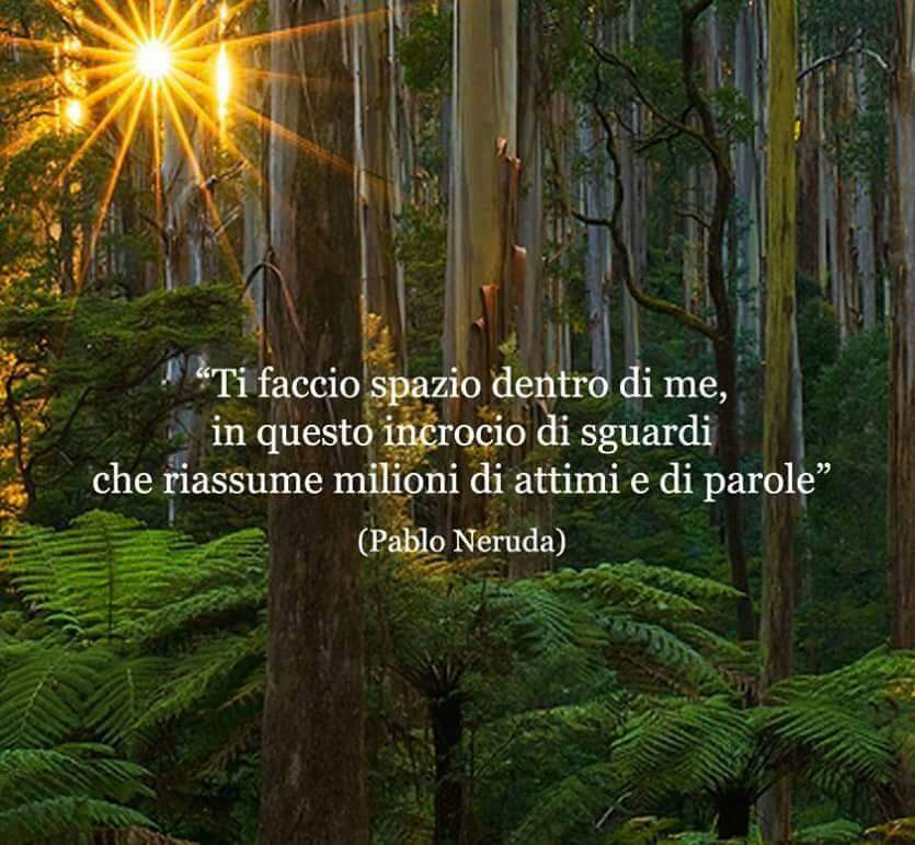 Perchè C è Lui Nelle Tue Ossa