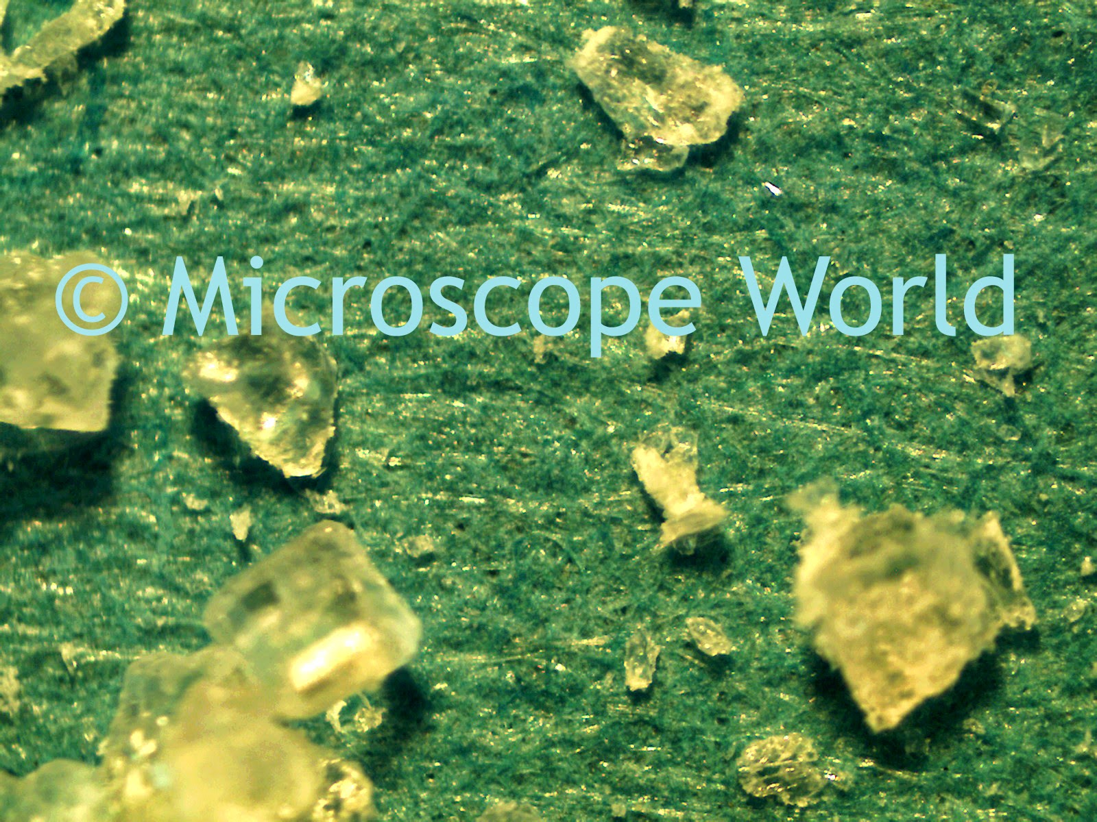 Sugar under a stereo microscope at 40x.