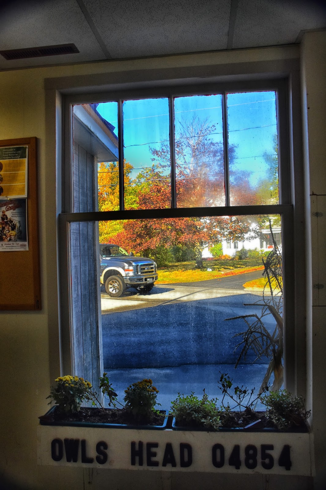 Tallgrass Wanderings