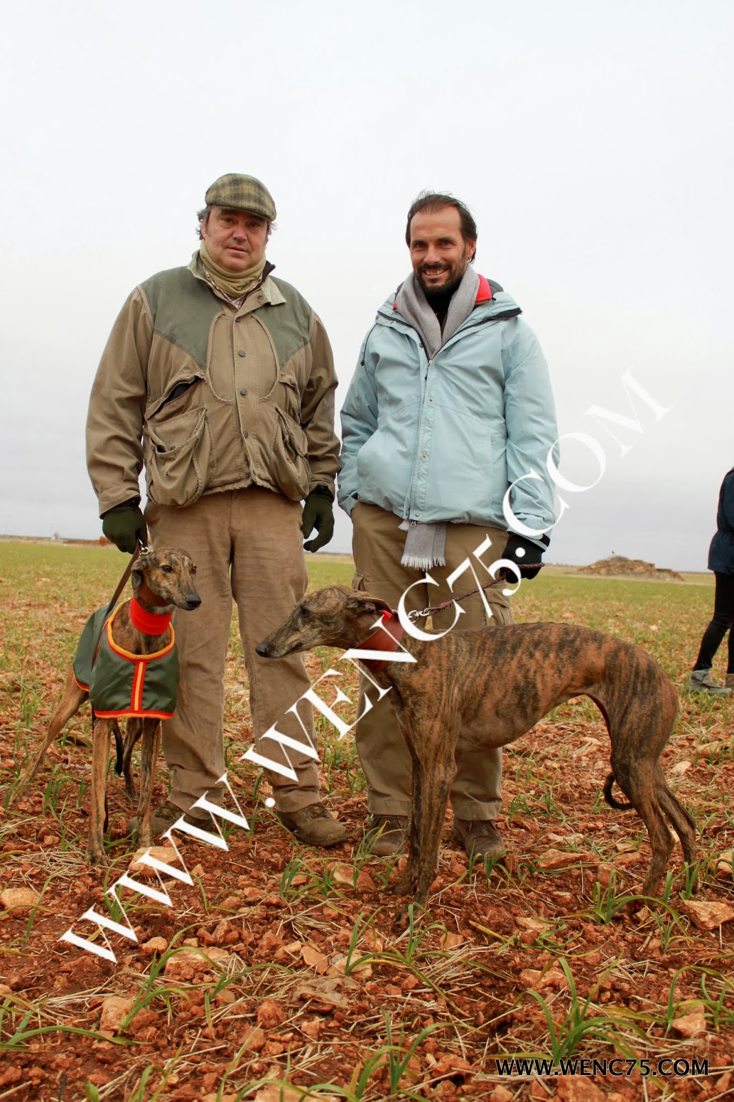 TAUROWENC75 GALGOS Y COTOS