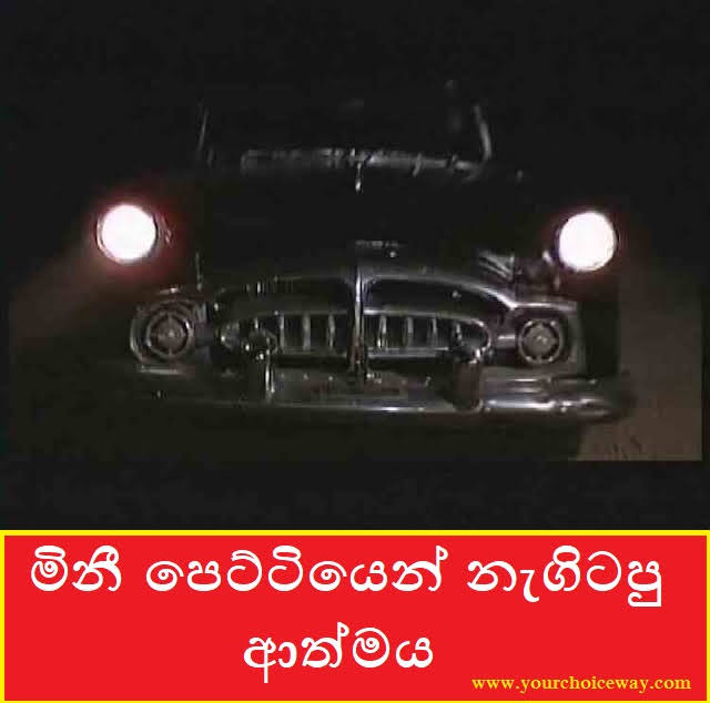 මිනී පෙට්ටියෙන් නැගිටපු ආත්මය (Horror) - Your Choice Way