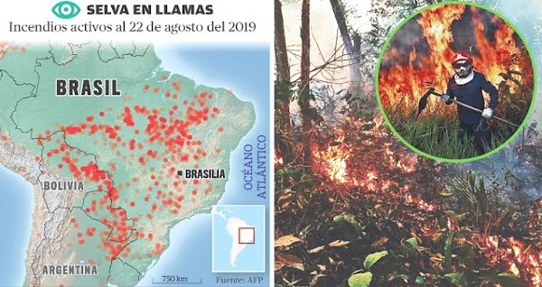 URGENTE: expertos temen que los incendios en el amazonas se pongan peor. URGENTE: expertos temen que los incendios en el amazonas se pongan peor.