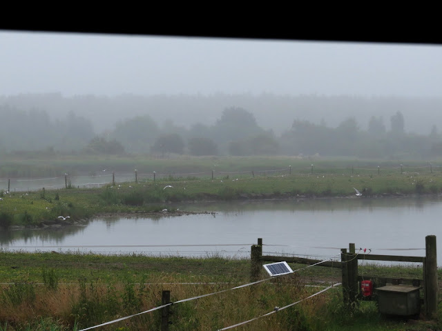 Old Moor RSPB, Yorkshire