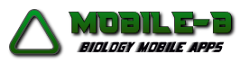 MOBILE-B