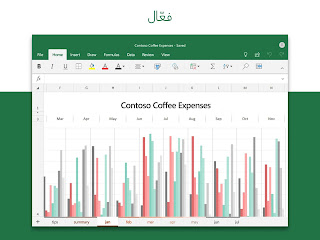 تصميم بعض أوراق التحليل المالي باستخدام برنامج Microsoft Excel تصميم بعض أوراق التحليل المالي باستخدام برنامج Microsoft Excel