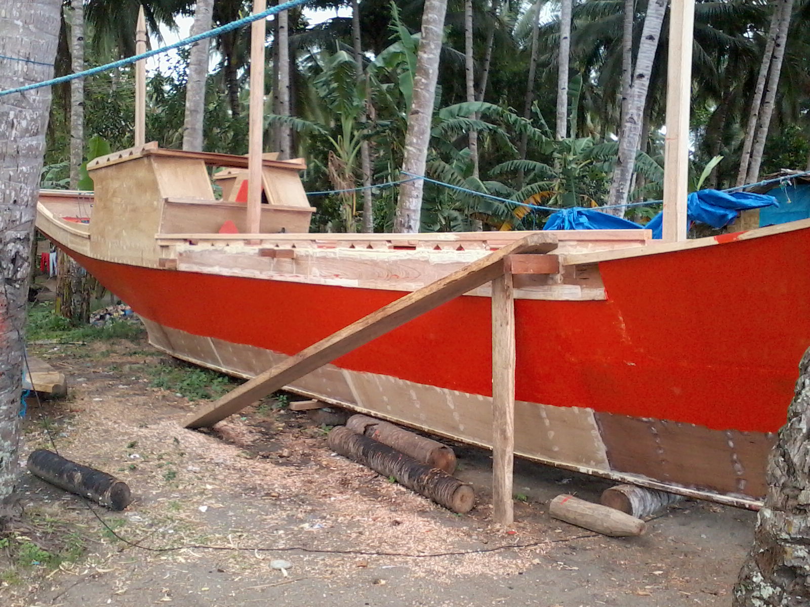 philippine tuna fishing: what kind of plywood works best