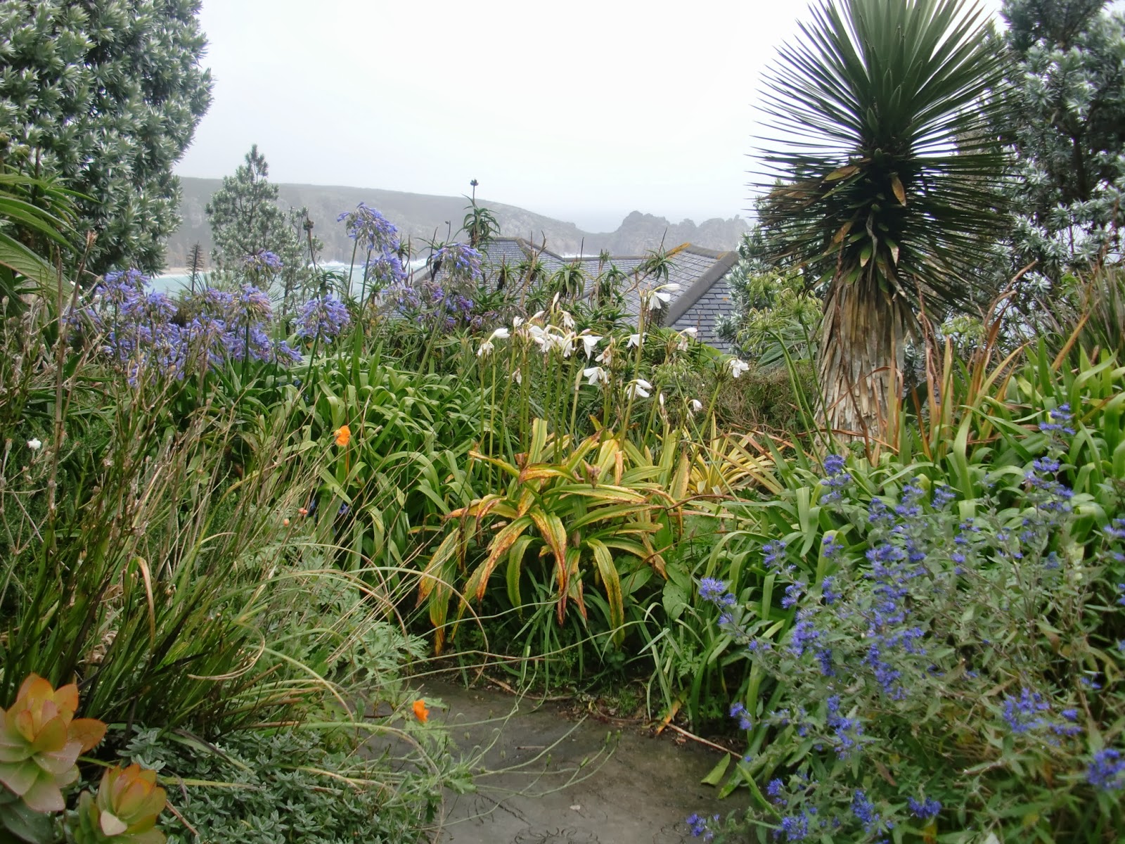 英国便り ミナック・シアター