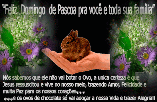 coelhinhonam%25C3%25A3o2.gif