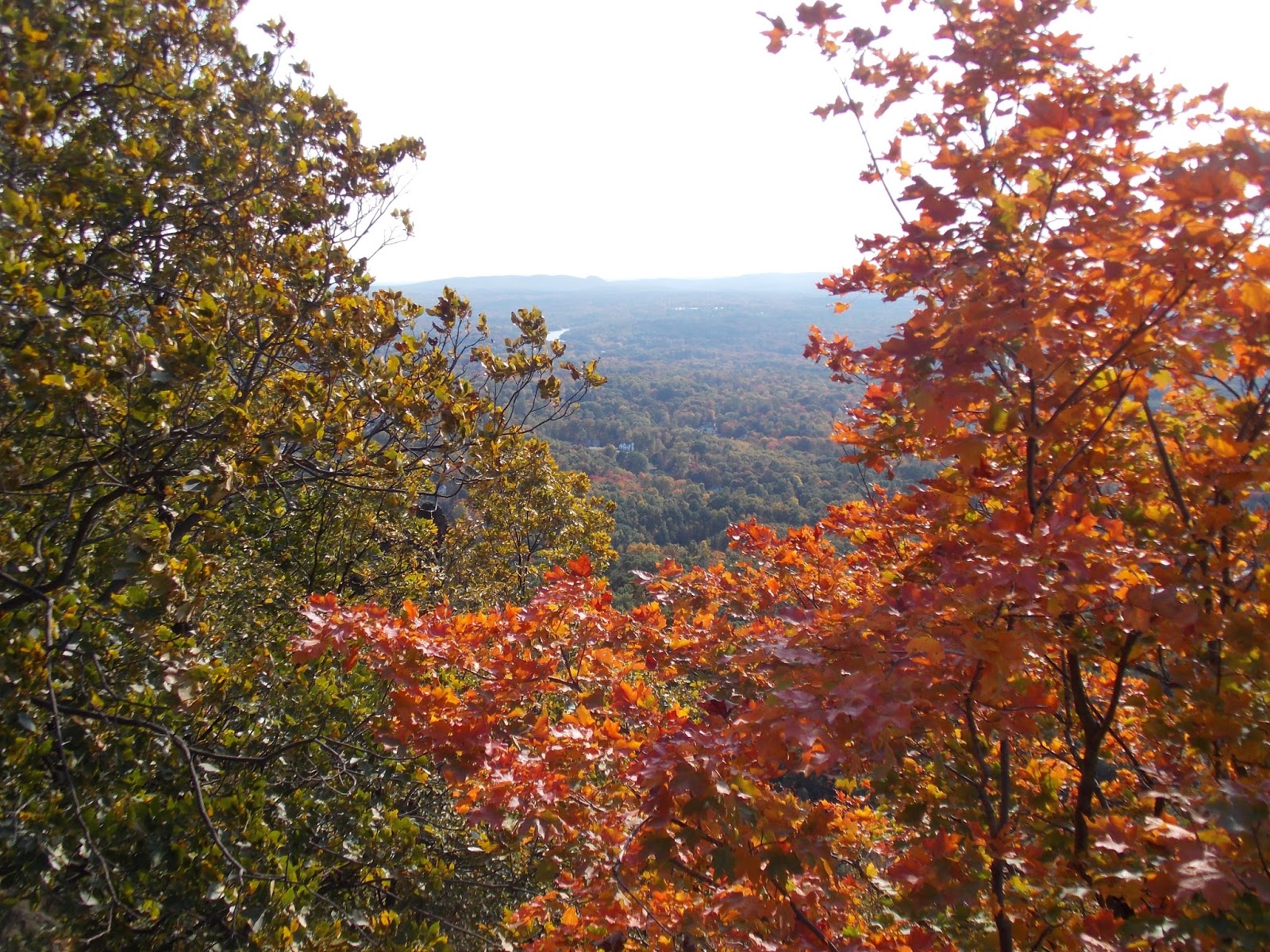 Adventures for Anyone: The Best of My Fall Photos...In Connecticut!