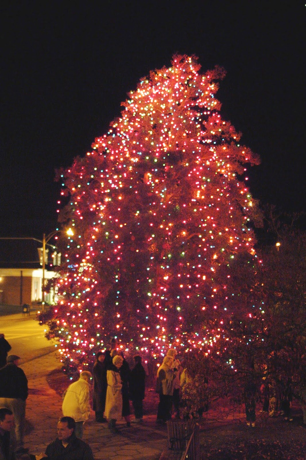 IMAGES OF OUR PAST THE HOLLY CHRISTMAS TREE DUBLIN PILOT CLUB, CA