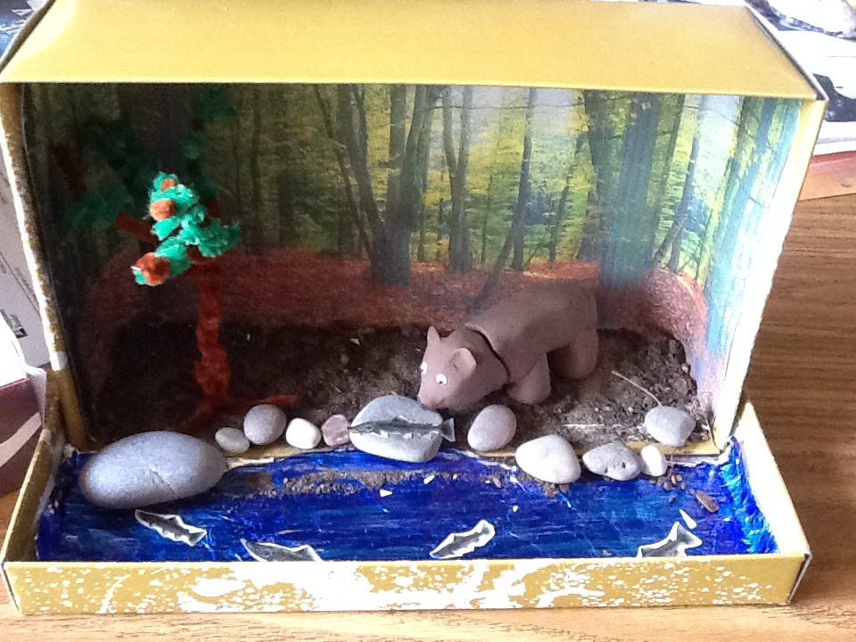 Volume Animal Project 5th Grade