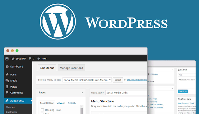 Wordpress görseli