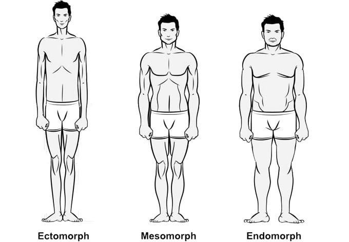 la mejor forma de perder grasa endomorfo