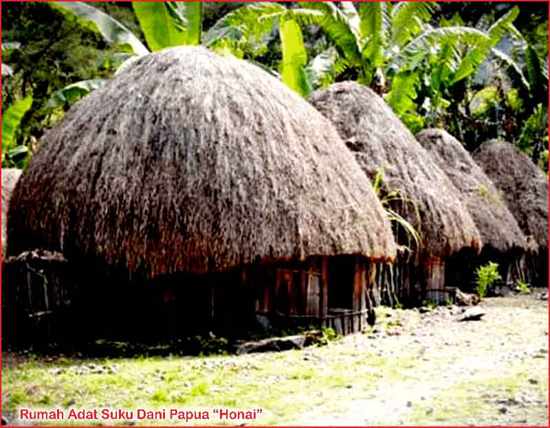 Contoh Kumpulan Rumah Adat Papua Barat Merupakan Kediaman Suku Apa