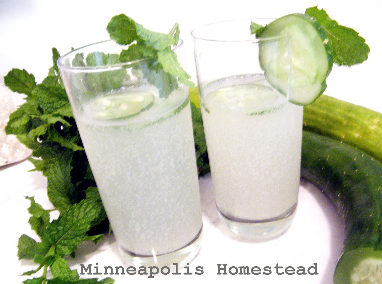 Light Cucumber Lime Vodka Coolers Minneapolis Homestead