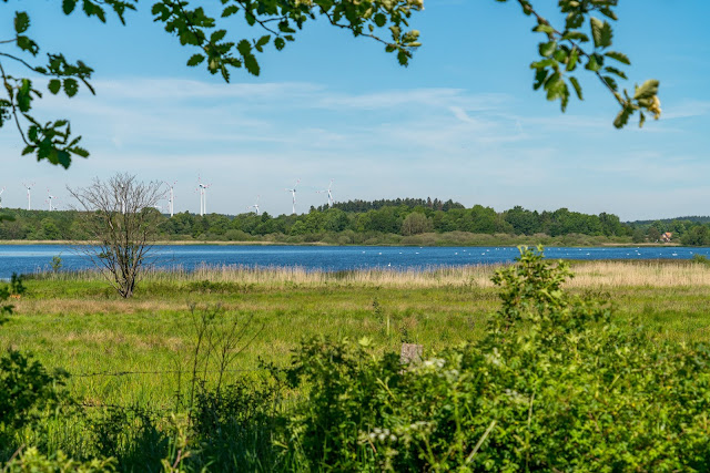 Westerwaldsteig Etappe 6 von Freilingen nach Nistertal  Westerwälder Seenplatte – Stöffelpark 05