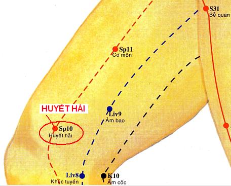 Vị trí huyệt huyết hải
