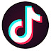 Most easiest way to grow and manage your TikTok with this Promotional Service