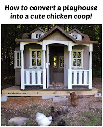 playhouse coop chicken convert into