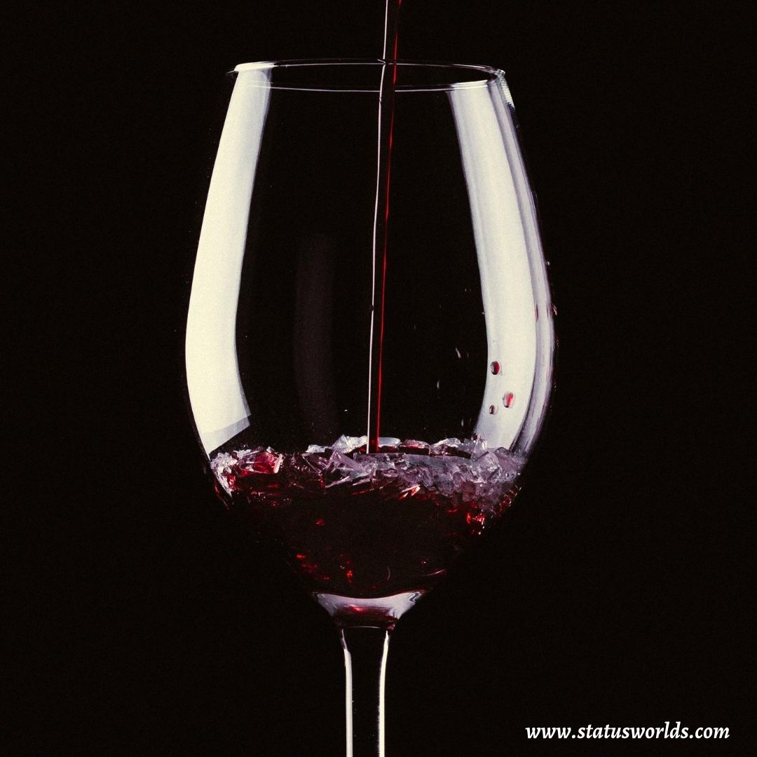 Best Of Best Wine Captions, Status & Quotes [ 2021 ] For Wine Lover