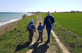 Küsten-Spaziergänge rund um Kiel, Teil 3: Raps, Steine und Meer bei Hohenfelde. Der Spazierweg oben an der Steilküste ist breit genug für die ganze Familie.